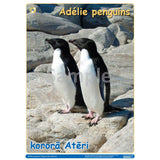 NZ Penguins Pack DIGITAL FILE