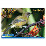 NZ Native Forest Birds 1