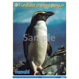 NZ Penguins Pack DIGITAL FILE