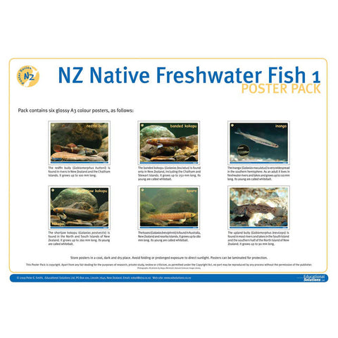 NZ Native Freshwater Fish 1 DIGITAL FILE