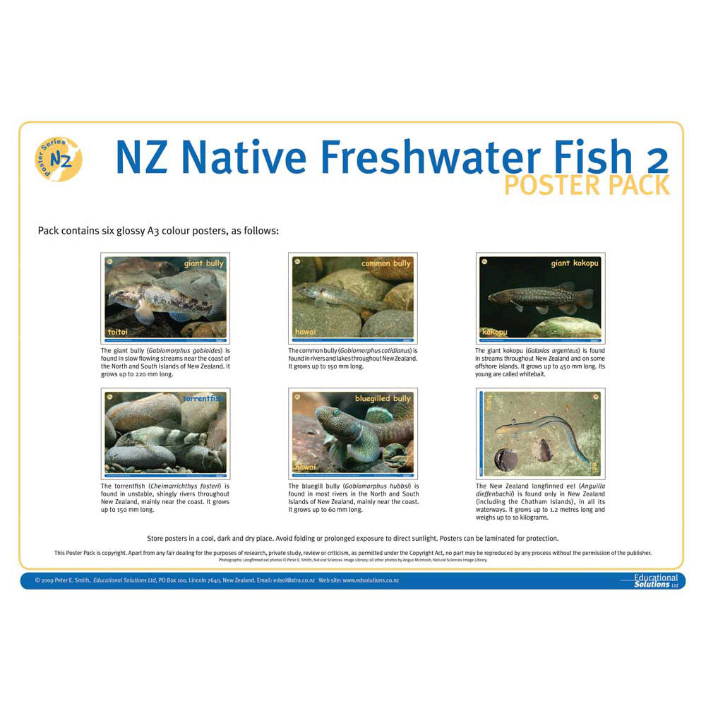 NZ Native Freshwater Fish 2 DIGITAL FILE – Science Resource Box
