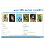 NZ Native Forest Birds 3