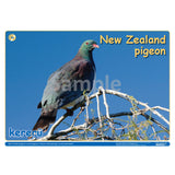 NZ Native Forest Birds 1