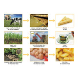 Our Food