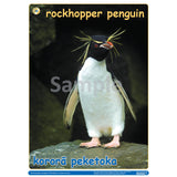 NZ Penguins Pack DIGITAL FILE