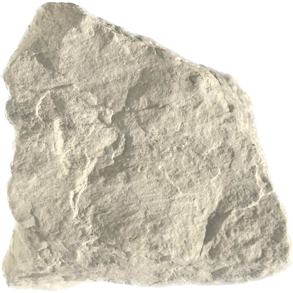 Corrison Rocks Chalk Chalk rock – Science Resource Box