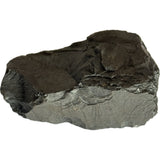 Coal (bituminous)