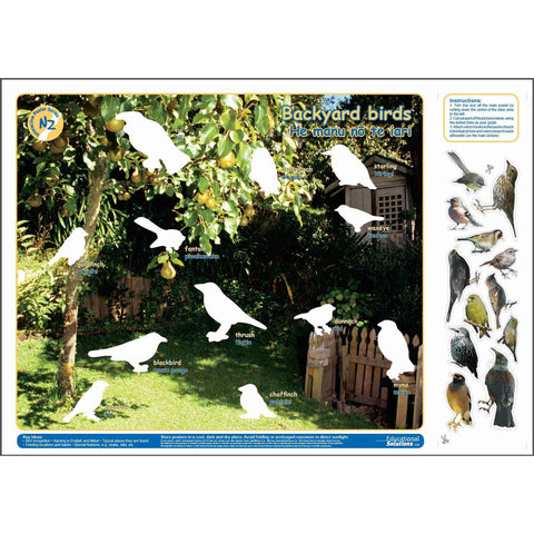 Backyard Birds (Interactive poster)