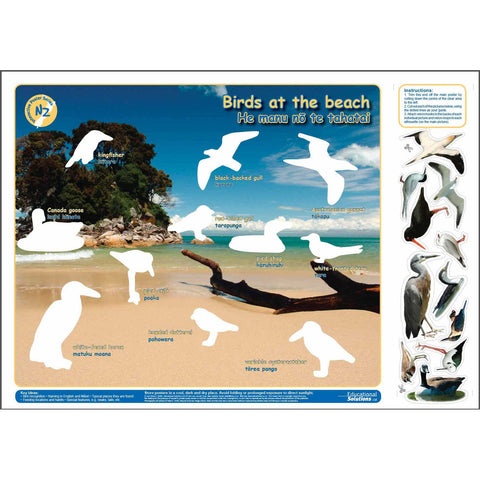 Birds at the Beach (Interactive poster)