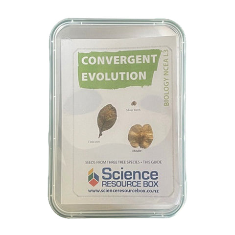 Convergent evolution (NCEA Bio Level 3)