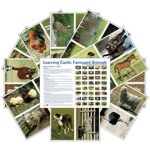 Farmyard Animals (pdf download)