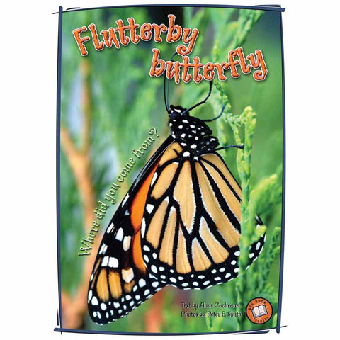 Flutterby butterfly (A4 book)