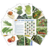 Fruit and Veges (pdf download)