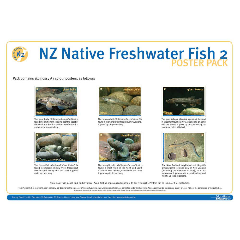NZ Native Freshwater Fish 2 – Science Resource Box
