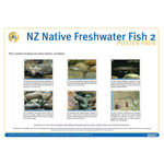 NZ Native Freshwater Fish 2 DIGITAL FILE