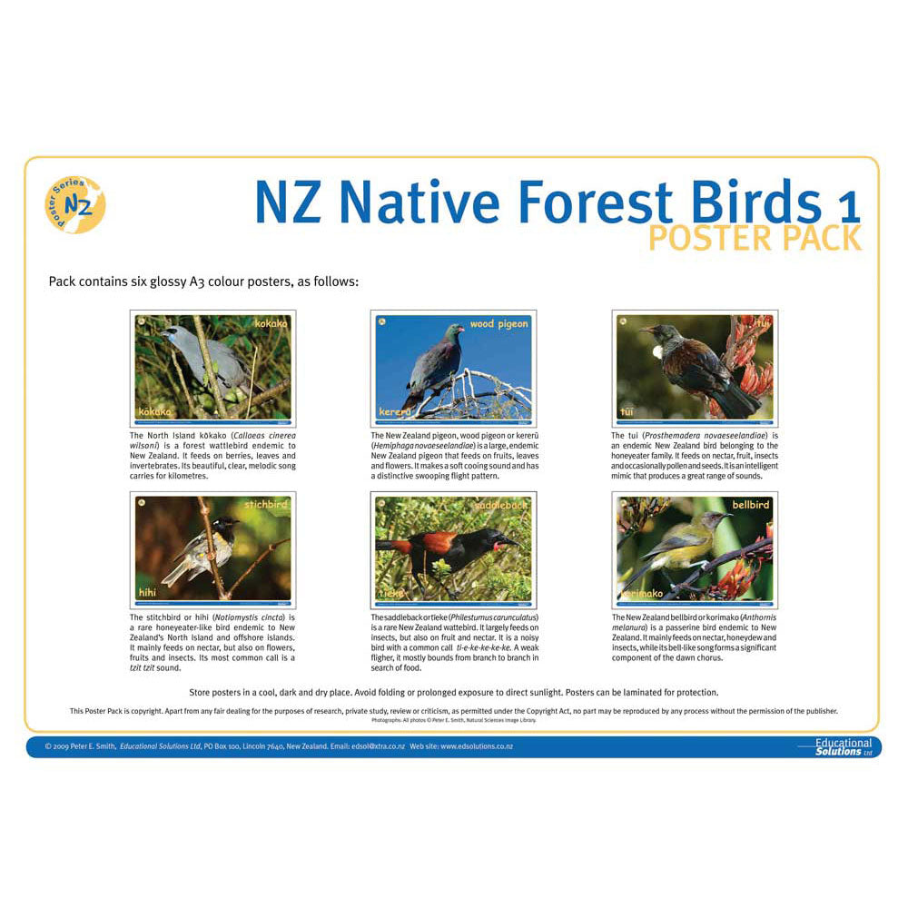 NZ Native Forest Birds 1 DIGITAL FILE – Science Resource Box