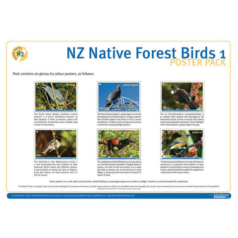 NZ Native Forest Birds 1 DIGITAL FILE