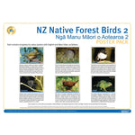 NZ Native Forest Birds 2