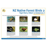NZ Native Forest Birds 2 DIGITAL FILE