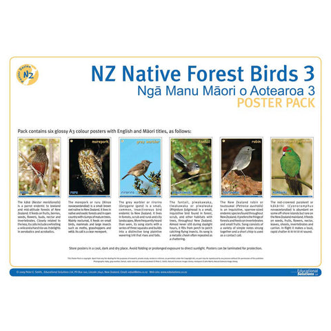 NZ Native Forest Birds 3