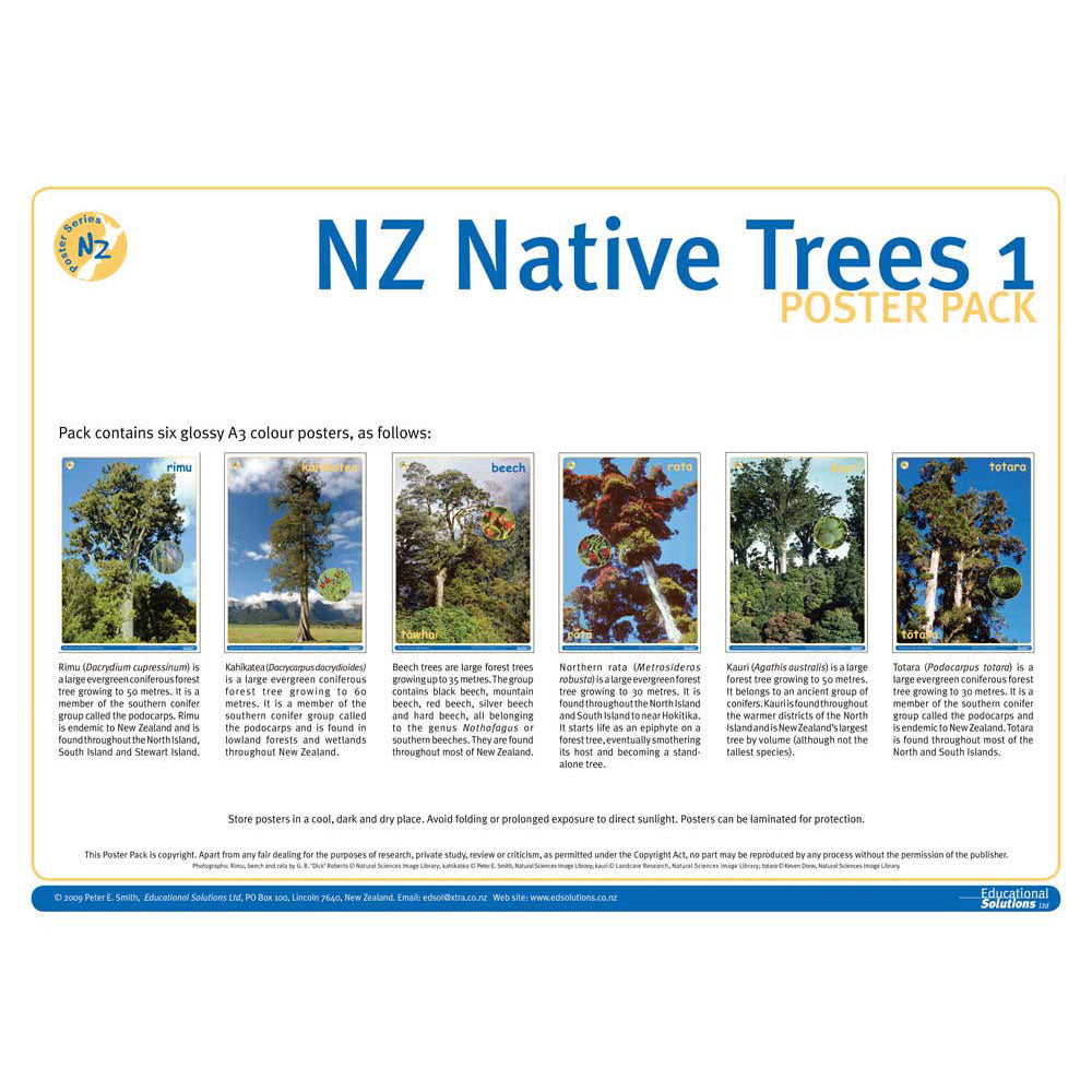 One Native Tree NZ Native Trees 1 DIGITAL FILE – Science Resource Box