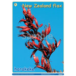 NZ Native Flowers 1 DIGITAL FILE