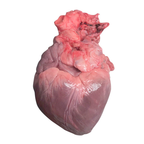 Pig hearts (B Grade x5 pack) — frozen