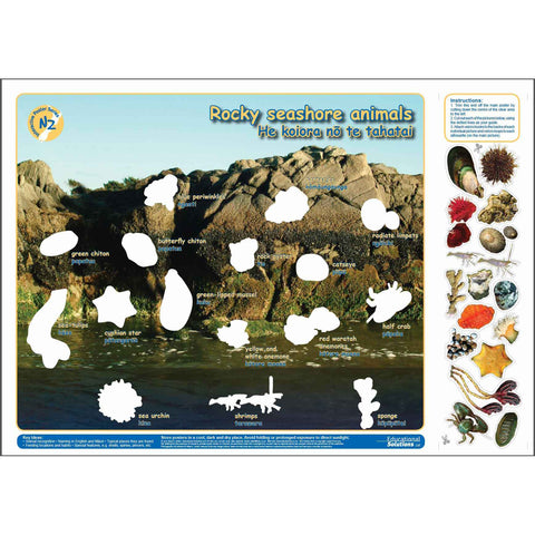 Rocky Seashore Animals (Interactive poster)