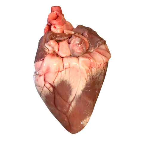 Sheep heart (x1) — frozen