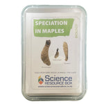 Speciation in maples (NCEA Bio Level 3)