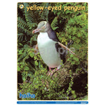 NZ Penguins Pack DIGITAL FILE