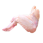 Chicken wings (x10 pack) — frozen