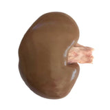 Pig kidneys (x5 pack) — frozen